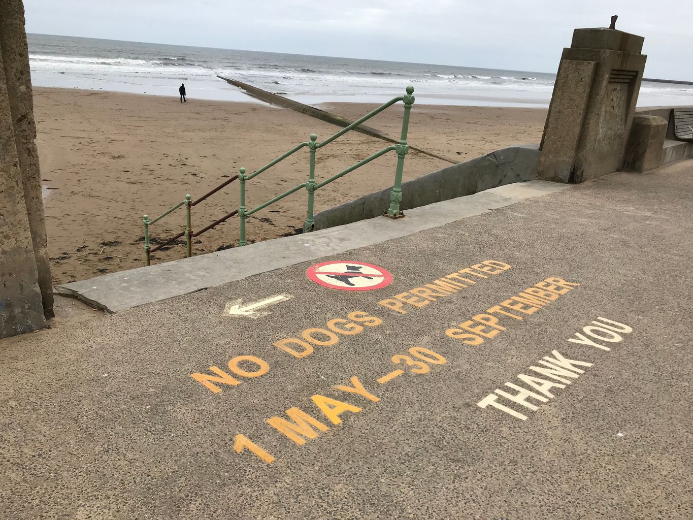 Dog exclusion zones back in force on Sunderland beaches from May News